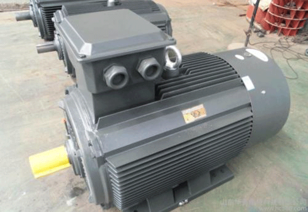 關于高壓電機外殼防護等級重要性分析。